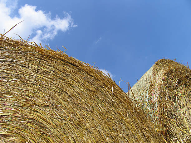 bales of hay 1/3 stock photo