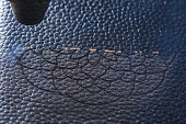 Laser makes engraving on leather