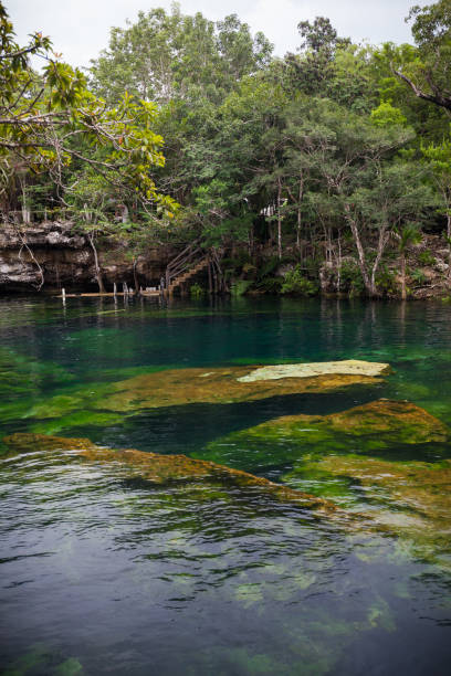 istock Cenote with pure water, Mexico 906969648