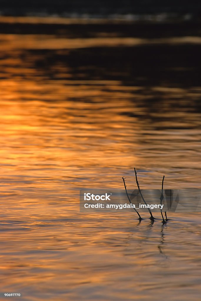 abstract river twig sunset landscape nature scenery: abstract river twig orange sunset landscape on the rio grande river, albuquerque, new mexico, usa, vertical, copy space Abstract Stock Photo