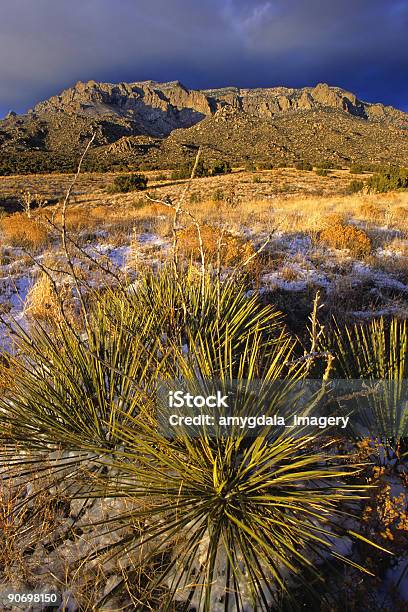 Góra Yucca Słońca - zdjęcia stockowe i więcej obrazów Albuquerque - Stan Nowy Meksyk - Albuquerque - Stan Nowy Meksyk, Bez ludzi, Brzask