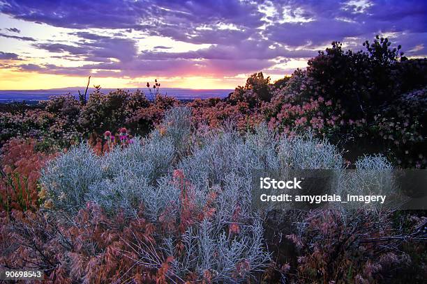 Artemisia Cielo Al Tramonto Deserto Paesaggio - Fotografie stock e altre immagini di Nuovo Messico - Nuovo Messico, Paesaggio, Artemisia tridentata