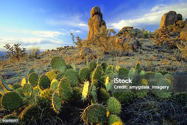 Desierto De Cactus Y Formación De Roca Paisaje De La Puesta Del Sol Foto de stock y más banco de imágenes de Albuquerque