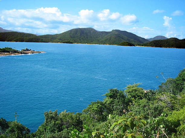 istock Brazilian coast with a very blue ocean 90699195