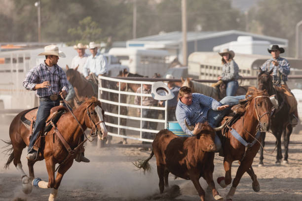 istock Brave cowboy participating in the steer wrestling rodeo event. 907005382