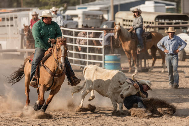 istock Brave cowboy participating in the steer wrestling rodeo event. 907005386