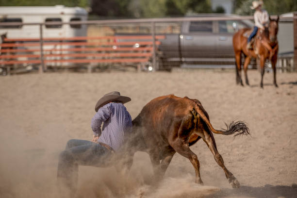 istock Brave cowboy participating in the steer wrestling rodeo event. 907005566