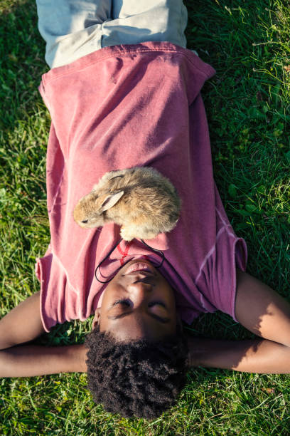 istock African-american boy with baby rabbit outdoors in spring. 907029892