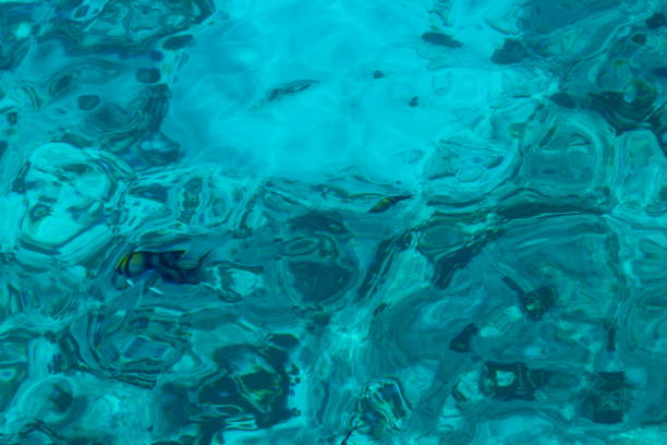 istock Nature background of transparent sea water 907055620