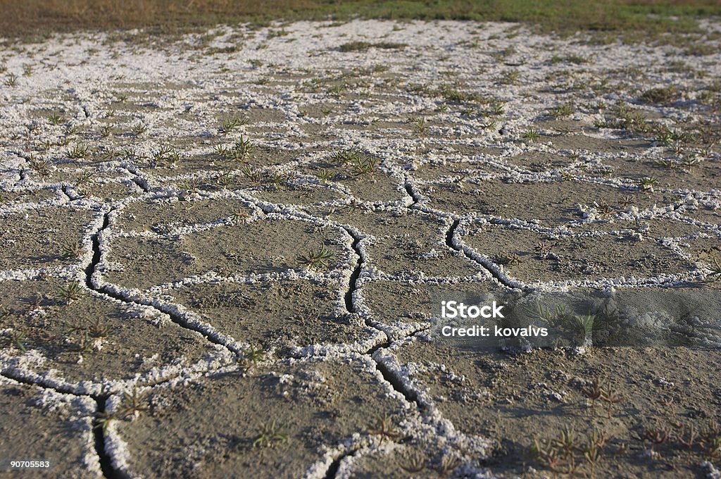 soil salinity  Dirt Stock Photo
