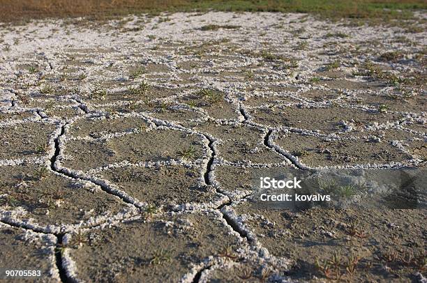 Soil Salinity Stock Photo - Download Image Now - Dirt, Awe, Backgrounds