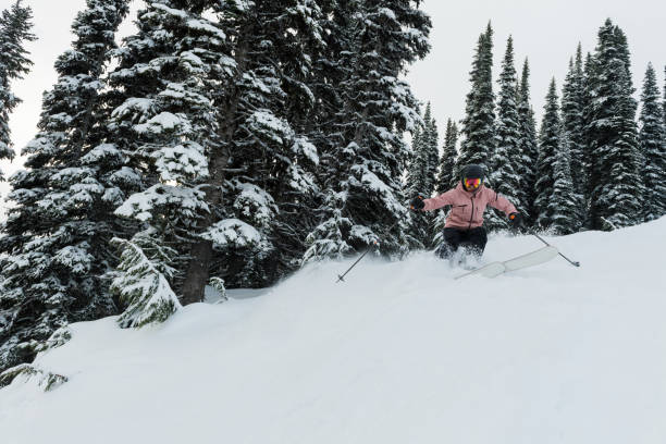 istock Female athlete powder skiing 907067782
