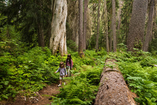 istock Kids connecting with nature 907073150