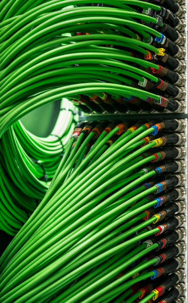 サーバーに接続されている多くの緑のネットワーク配線 - cable network server network connection plug green ストックフォトと画像