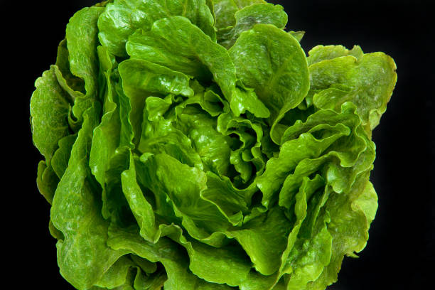 istock Top view close up of a head of lettuce 907084444
