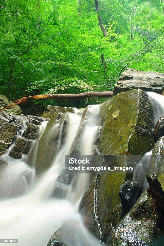 Torrente Foresta paesaggio cascata - Foto stock royalty-free di Acqua