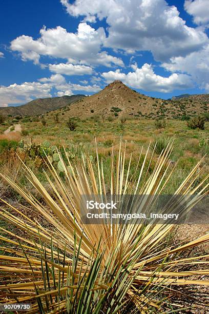 Paisaje Del Suroeste Foto de stock y más banco de imágenes de Aire libre - Aire libre, Albuquerque, Amarillo - Color