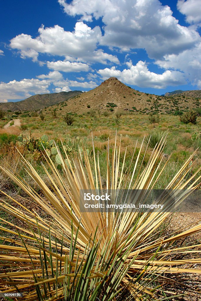 Paisagem do sudoeste americano - Foto de stock de Albuquerque - Novo México royalty-free
