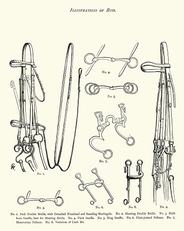 Vintage engraving of Victorian riding bits, 19th Century