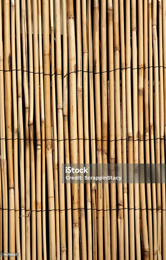 Deep golden bamboo texture background  Abstract Stock Photo