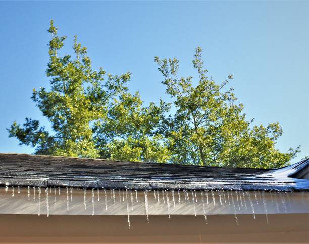 Photo of Hanging Icicles in Houston