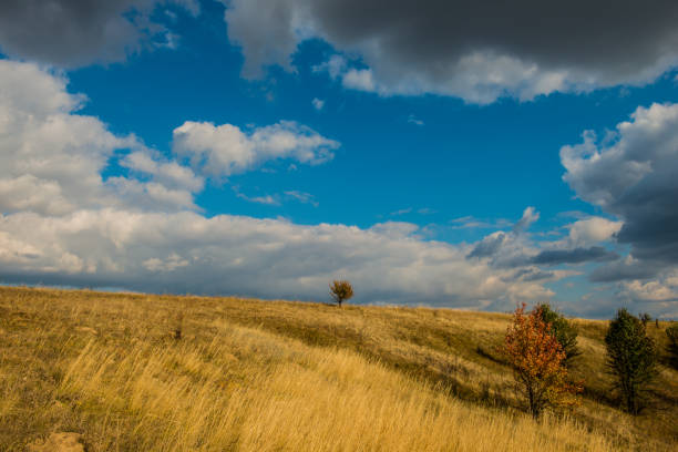 istock clouds in the steppe. Dry grass and hill. Rural landscape. 907121360