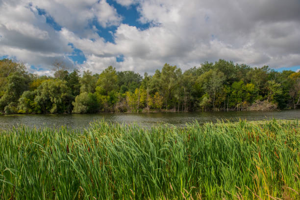 istock clouds and forest by the river on a meadow rural landscape. Sunny day. 907121570