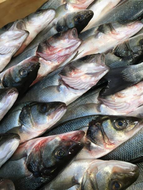 istock Fresh Fishes at Fish Market 907149200
