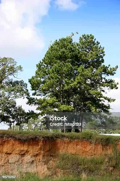 Erosione In Un Torrente Bank - Fotografie stock e altre immagini di Albero - Albero, Ambientazione esterna, Ambientazione tranquilla