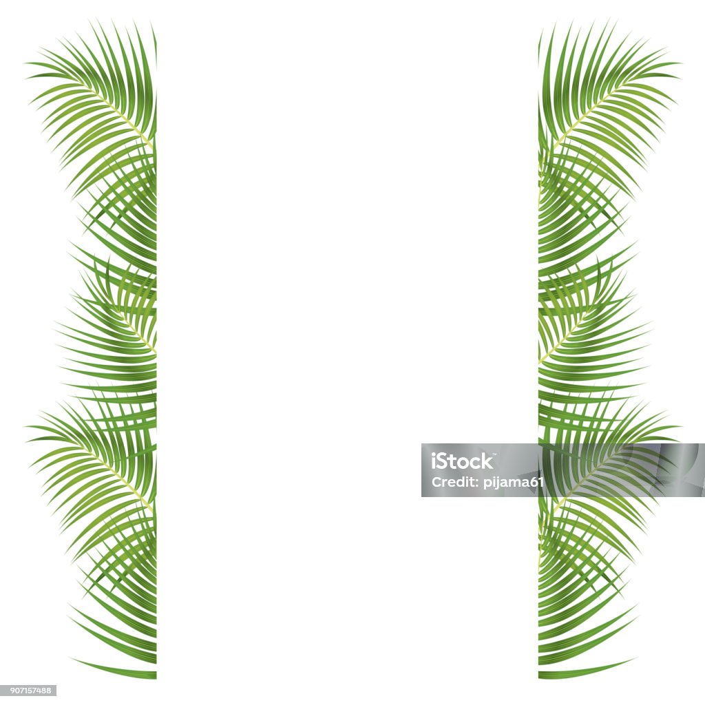 Fronteira de folhas de palmeira - Vetor de Palmeira royalty-free