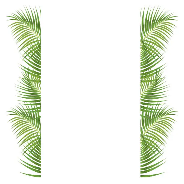 Vector illustration of Palm Leaves Border