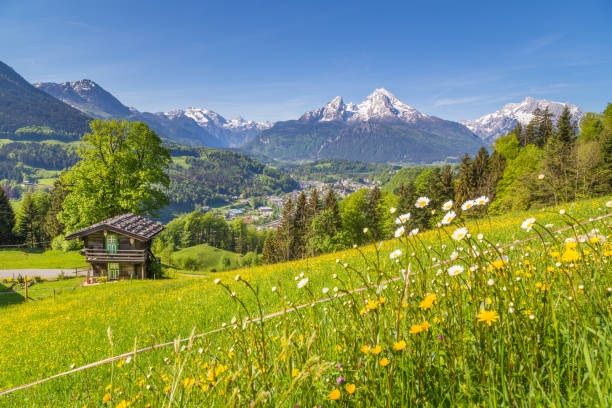 istock Alpine scenery with traditional mountain chalet in summer 907174532