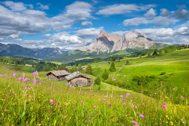 Beautiful view of idyllic alpine mountain scenery with traditional old mountain chalets and fresh green meadows on a sunny day with blue sky and clouds in springtime, Alpe di Siusi, South Tyrol, Italy