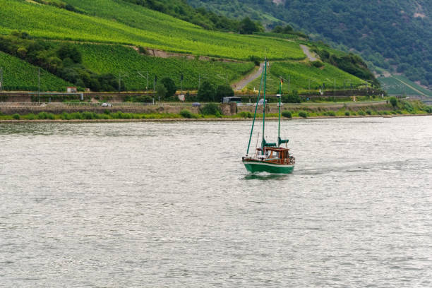 istock Sailing on the Rhine River 907182826