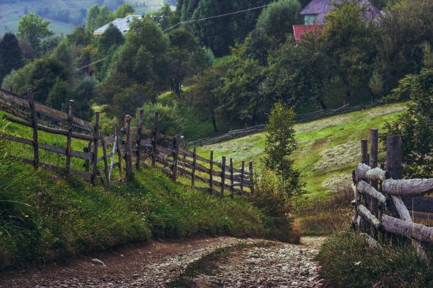 istock Transylvanian country road 907185402