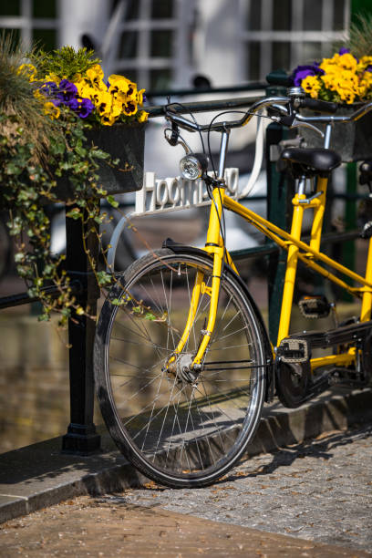 istock yellow tandem bike on the bridge 907201388