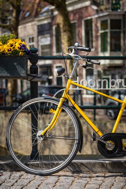 istock yellow tandem bike on the bridge 907201410