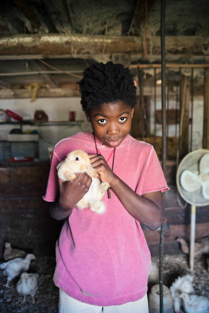 istock African-american boy holding a baby rabbit in an old barn. 907232900