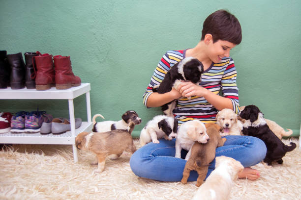 istock Happy woman playing with puppies 907278040