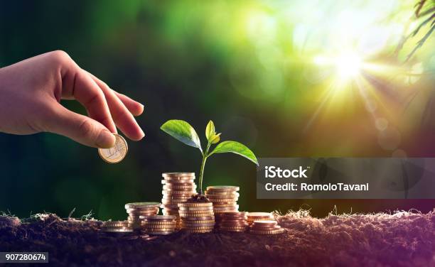 Growing Plant On Coins Money Investment Concept Stock Photo - Download Image Now - Savings, Currency, Environmental Conservation