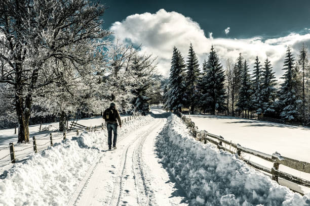 istock Snowy winter breathtaking natural landscape 907289352