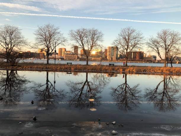 istock Boston sky line and buildings 907290158