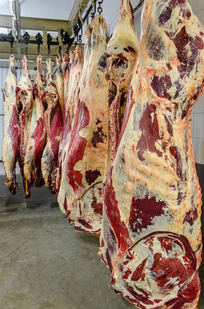 istock carcasses of meat hang in a row 907300032