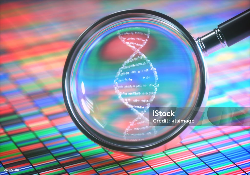 Amplifying DNA Helix 3D illustration. DNA Sanger Sequencing and a Magnifying Glass Showing the DNA Helix. DNA Stock Photo