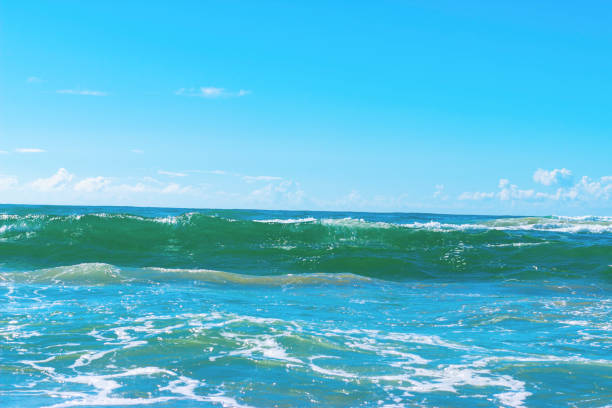 istock Sunny Beach and tropical sea 907335194