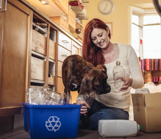 istock Recycling in Daily Life 907350132