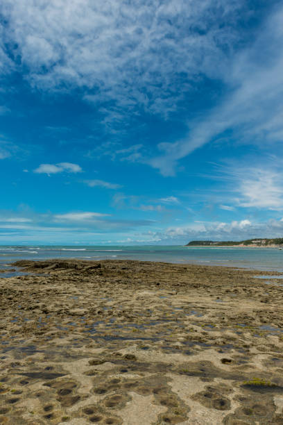 istock Praia do Espelho, Porto Seguro (Bahia - Brazil) 907372094