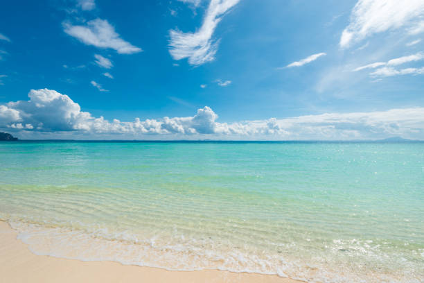 istock very beautiful landscape idealistic tropical place on a desert island 907377746
