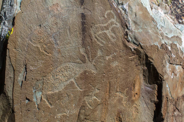 istock Petroglyphs (ancient rock paintings) in the Altai Mountains, Russia. 907379904