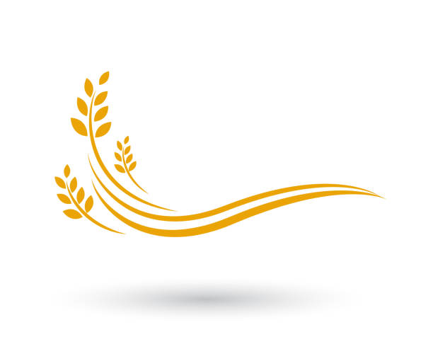 stockillustraties, clipart, cartoons en iconen met landbouw tarwe sjabloonontwerp vector pictogram - wheat